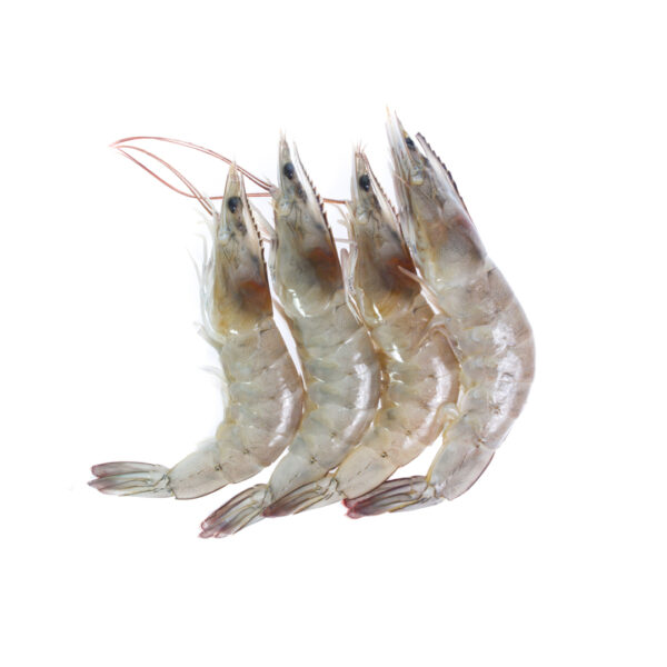 large prawns, large size prawns, prawns delivery, prawns online delivery