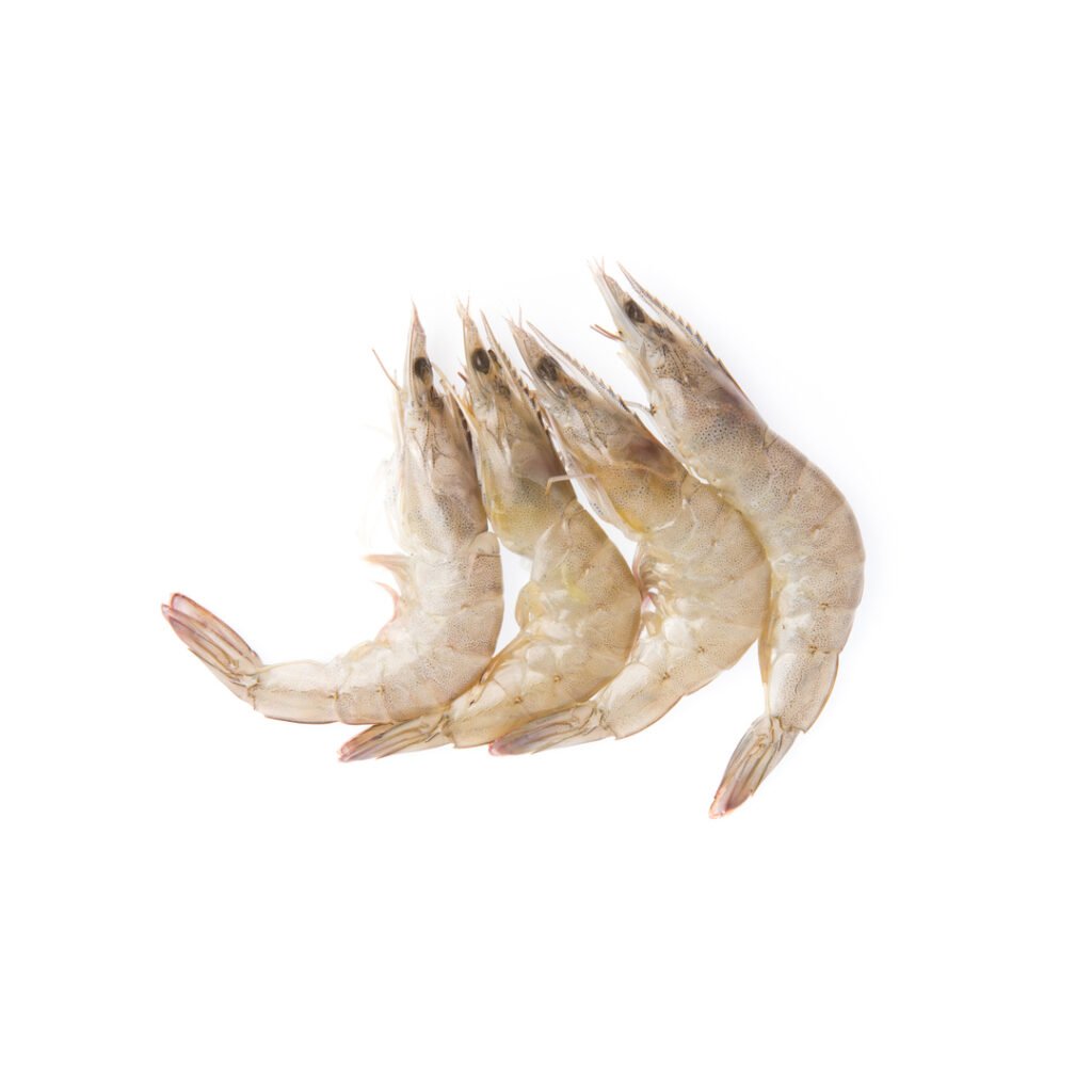 medium prawns, online seafood, aswad seafood